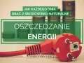 Włącz oszczędzanie energii! Dowiedz się, w jakich godzinach jest najtańszy prąd, by dbać o środowisko i domowy budżet.