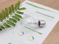 Gałązka zieleni i żarówka na papierze z wykresami, sugerujące analizę kosztów energii, np. eon taryfa c11.