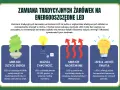 Zamiana żarówek na LED to świetne sposoby na oszczędzanie prądu: mniejsze zużycie energii, dłuższa żywotność, mniejsze nagrzewanie i lepsza jakość światła.