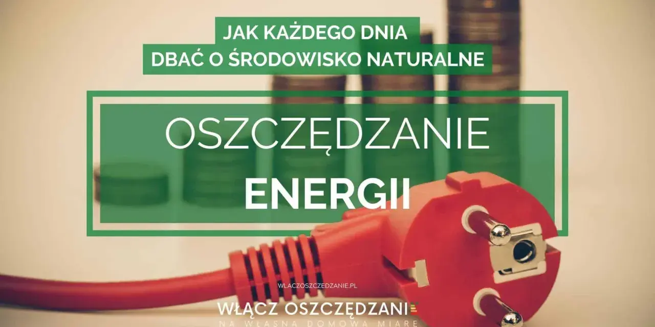 Włącz oszczędzanie energii! Dowiedz się, w jakich godzinach jest najtańszy prąd, by dbać o środowisko i domowy budżet.