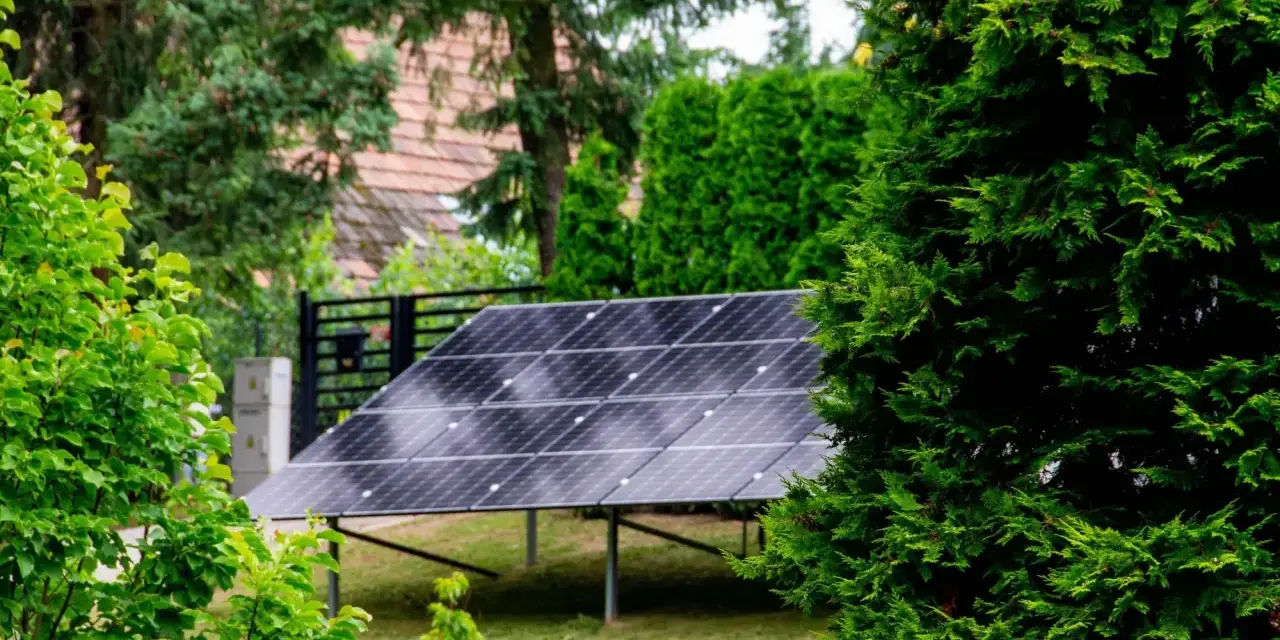 Panele fotowoltaiczne w ogrodzie, otoczone zielenią, czerpią energię ze słońca.