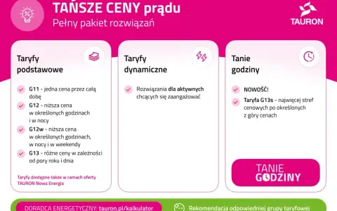 Porównanie taryf prądu: podstawowe, dynamiczne i tanie godziny. Wybierz taryfę dzienną i nocną dopasowaną do Twoich potrzeb.
