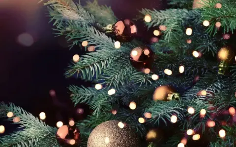 Choinka z bombkami i światełkami, które subtelnie rozświetlają gałązki. Zastanawiasz się, ile prądu zużywają lampki choinkowe?