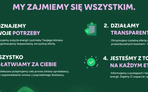 Fortum energia: poznajemy Twoje potrzeby, działamy transparentnie, załatwiamy wszystko za Ciebie i jesteśmy z Tobą na każdym etapie.