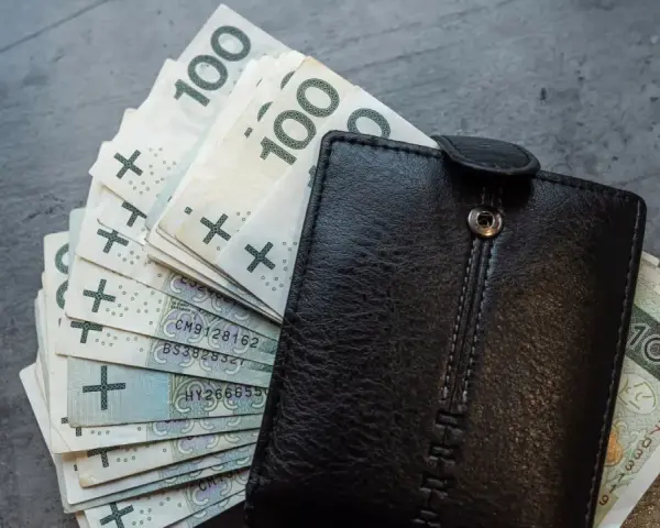 Czarny portfel z plikiem banknotów 100 zł. Czy to oszczędności na przyszłość, czy może zapłata za podatek od emisji CO2?
