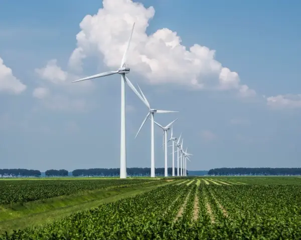 Rząd białych turbin wiatrowych na tle błękitnego nieba z chmurami, nad zielonym polem kukurydzy. Efektywne cable pooling w akcji.