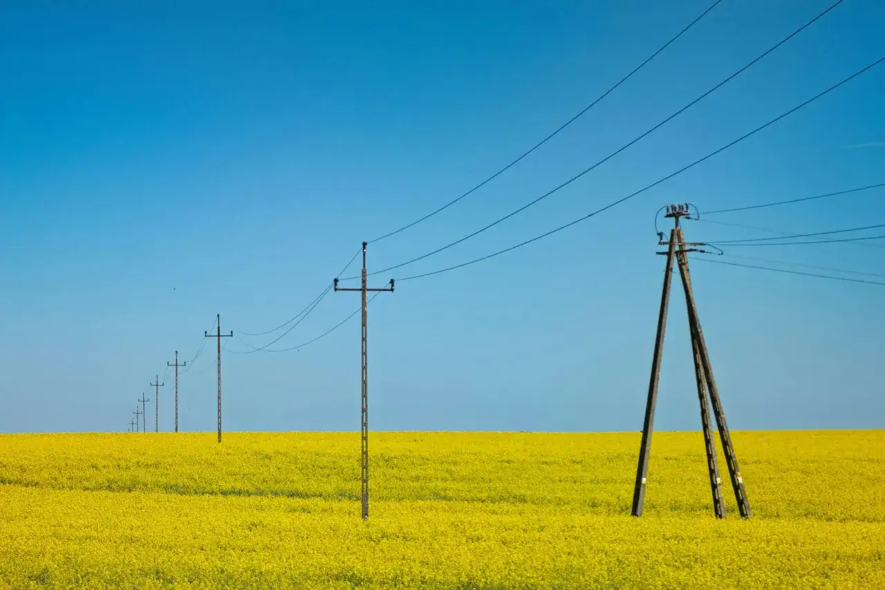 Linia słupów energetycznych przecina pole rzepaku. Zastanawiasz się, ile wynosi odszkodowanie za słupy energetyczne na działce?